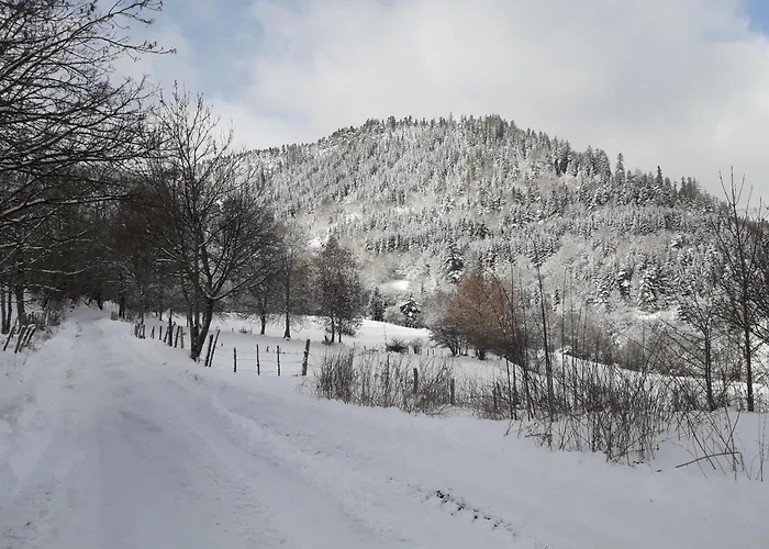 Mas Du Cresponnet Murat (Cantal)
